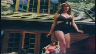 Nostalgic Erotica: A Vintage Journey Of Sensual Pleasure And Nostalgia